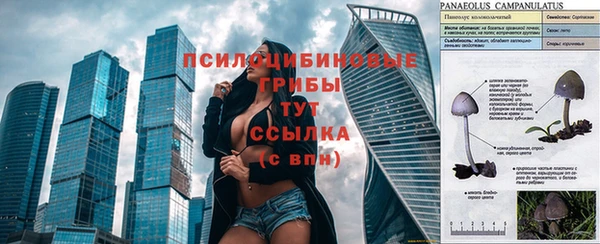 MESCALINE Богданович
