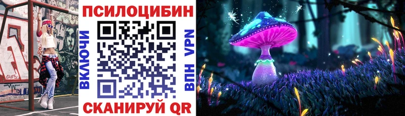 где продают   Северо-Курильск  Галлюциногенные грибы Psilocybe 