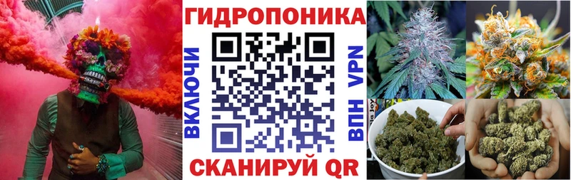 KRAKEN как зайти  Северо-Курильск  Марихуана планчик 
